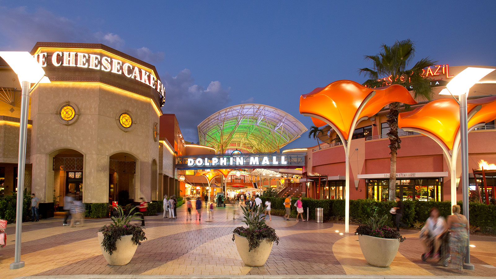 Dolphin mall coupons